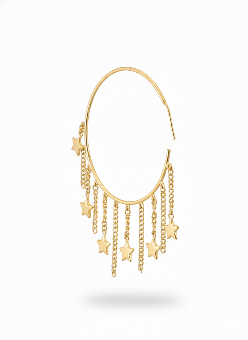 Modern Western Earrings-0116-1099