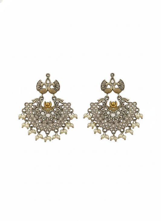 Metal Dangler Dual-tone Earrings-491