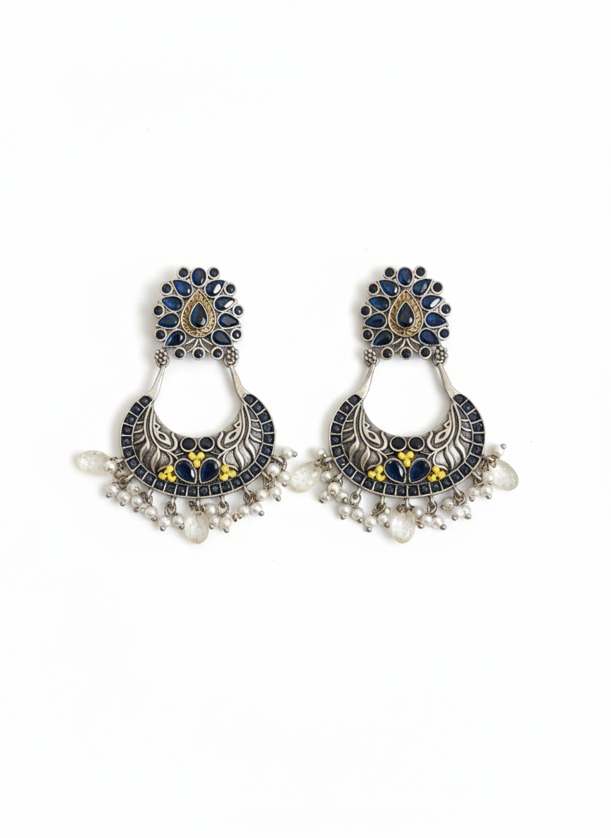 Metal Dangler Earrings-529