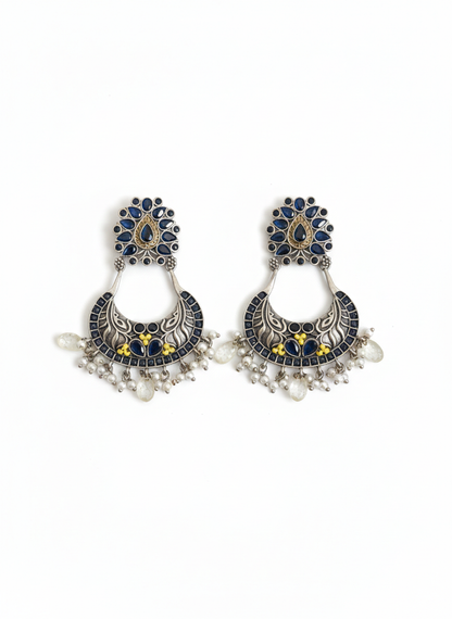 Metal Dangler Earrings-529