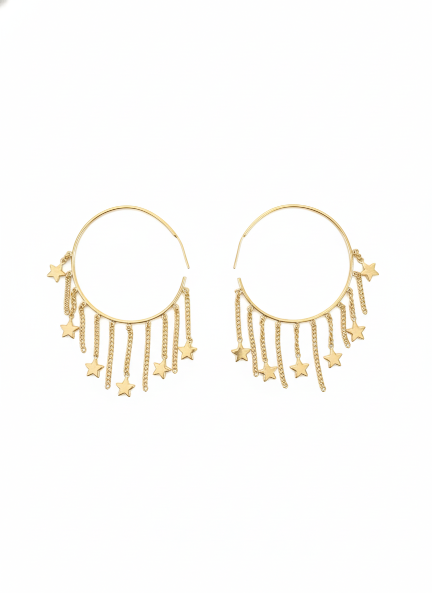 Modern Western Earrings-0116-1099