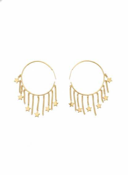 Modern Western Earrings-0116-1099