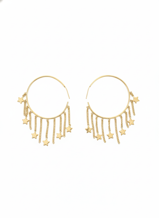 Modern Western Earrings-0116-1099