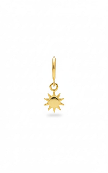 Modern Western Earrings-075-499