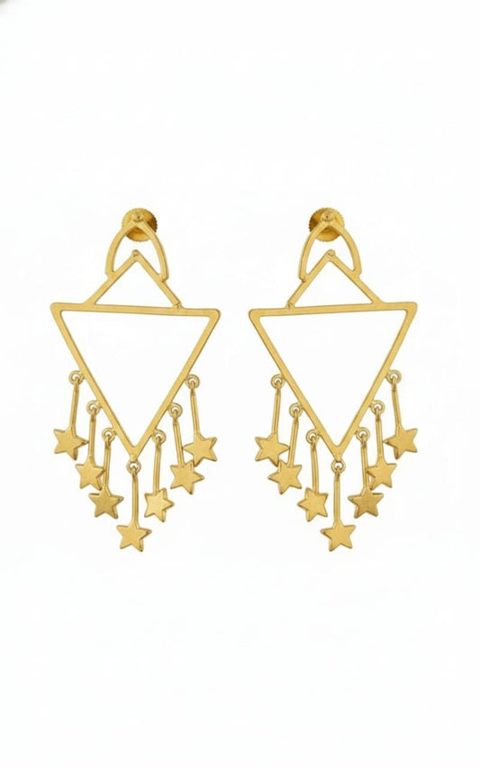 Modern Western Earrings-081-899