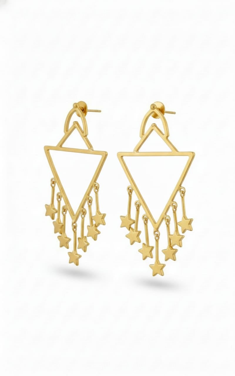Modern Western Earrings-081-899