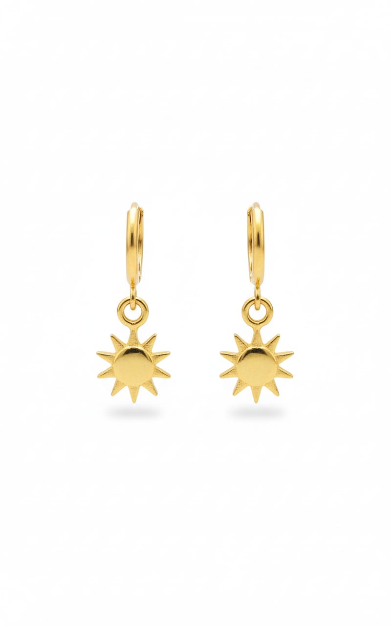 Modern Western Earrings-075-499