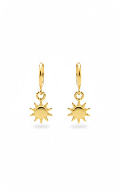 Modern Western Earrings-075-499