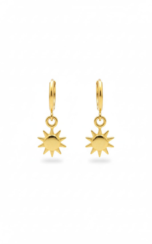 Modern Western Earrings-075-499